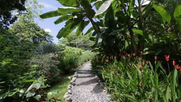 Room, 1 Bedroom, Accessible, Patio | Property grounds