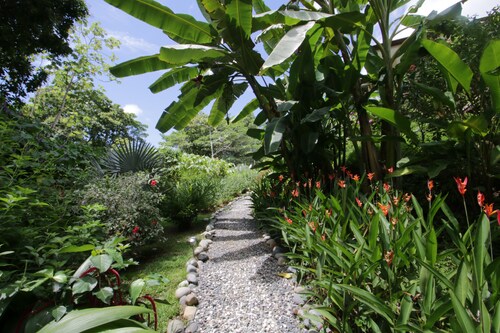 Room-casa Rio Tortuga - Colibri