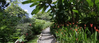 Room-casa Rio Tortuga - Colibri