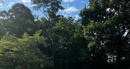 Room-casa Rio Tortuga - Colibri