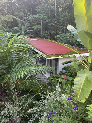 Room, 1 Bedroom, Accessible, Patio | Garden