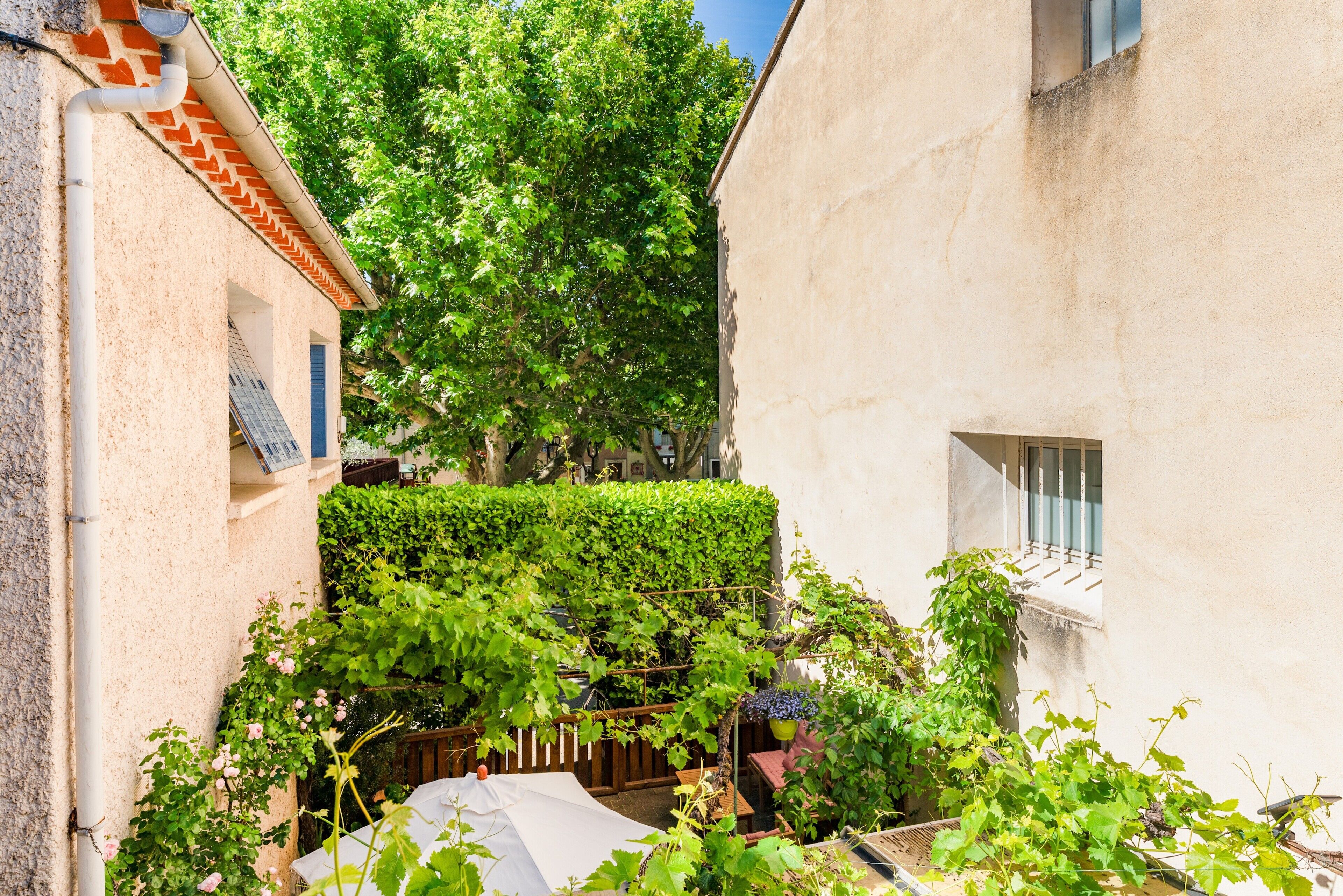 A narrow alleyway with a building on the left, a wooden fence, and a wall covered in green foliage.