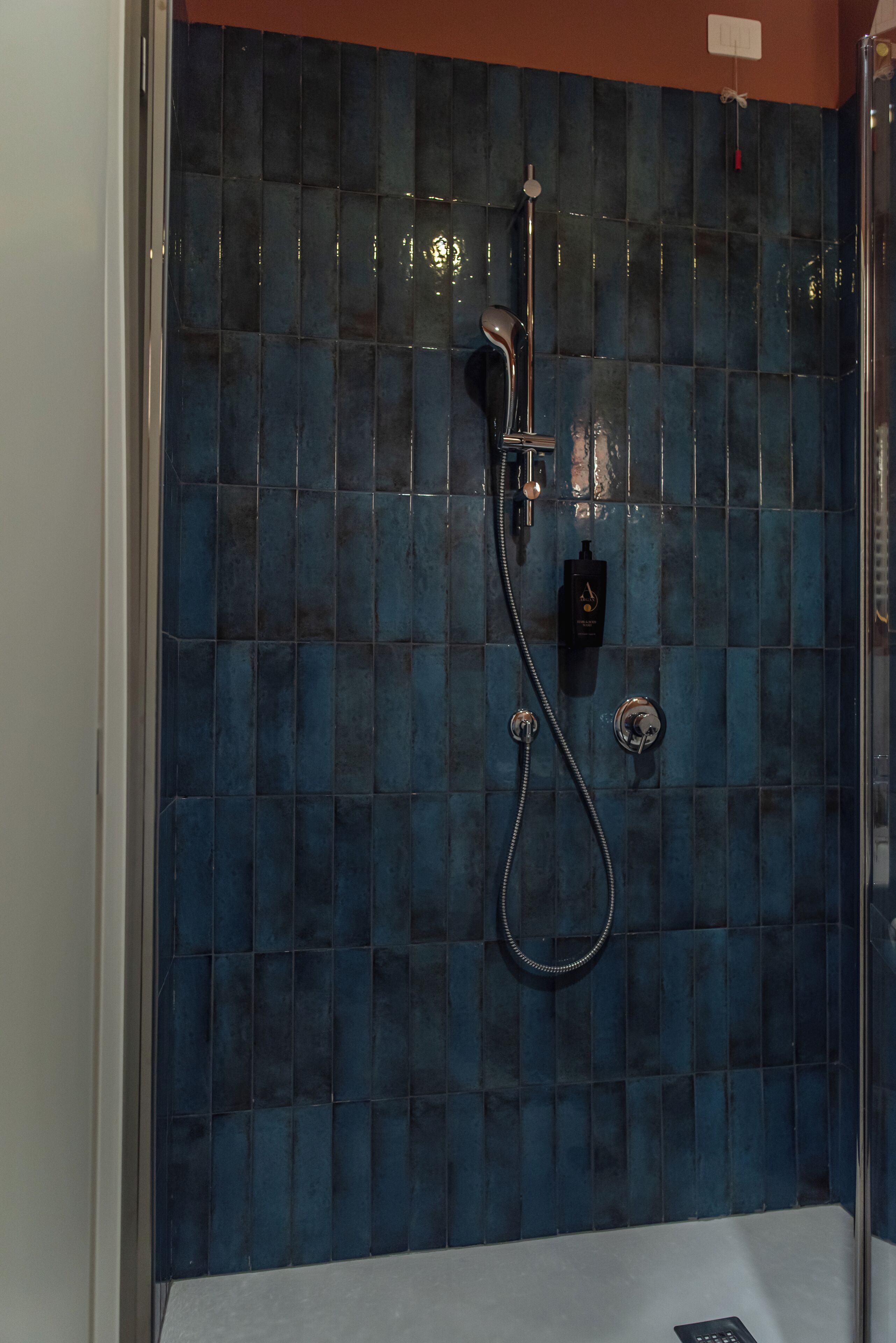 A bathroom with a blue-tiled shower wall, a handheld showerhead, and a wall-mounted faucet.
