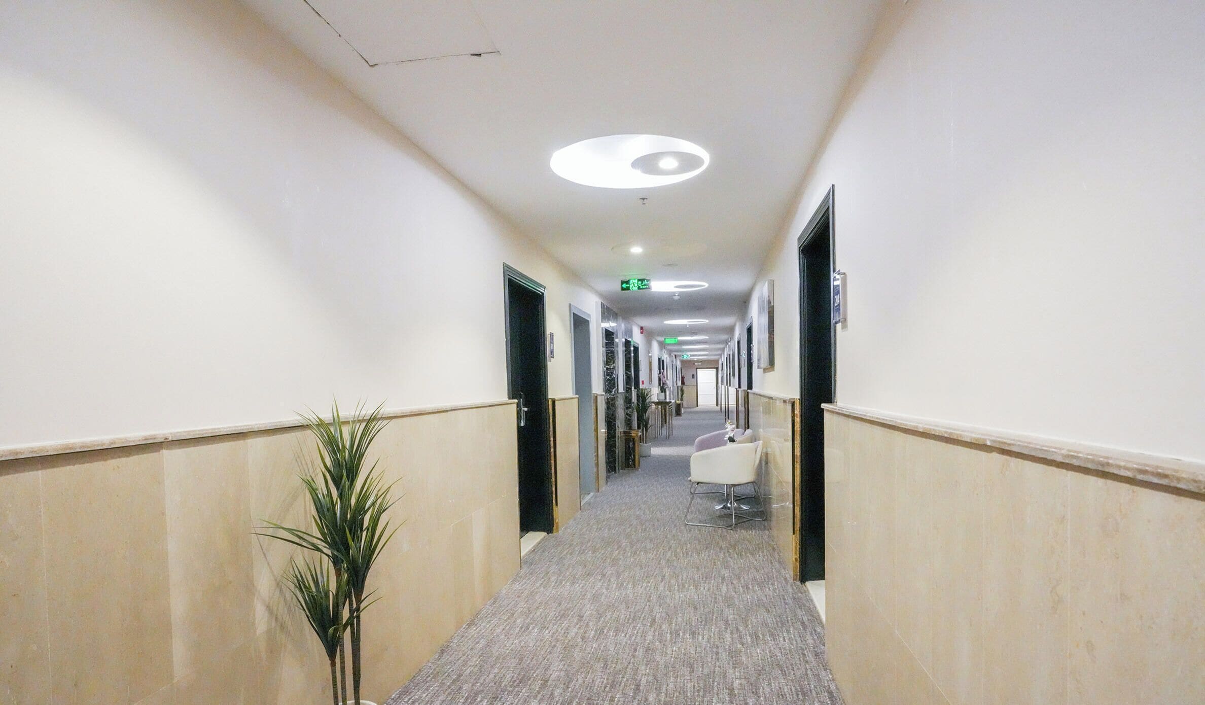 Un pasillo de hotel con suelo alfombrado, puertas a ambos lados y una planta a la izquierda.