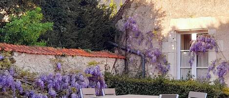 Restauration en plein air