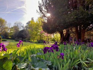 Terrain de l’hébergement 