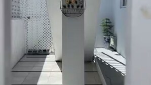 Un couloir étroit doté d’un sol carrelé, d’un mur décoratif orné d’un emblème circulaire et d’une structure en treillis blanc sur l’un des côtés.
