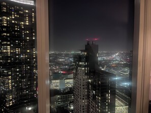 View from property - 2-bedroom apartment in lovely Long Island City with AC and gym (Long Island city)