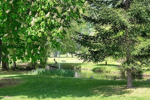 Ein friedlicher Park mit Teich, Bäumen und einer Bank.