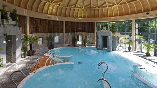 Una piscina interior con techo de madera, paredes de piedra y plantas en macetas.