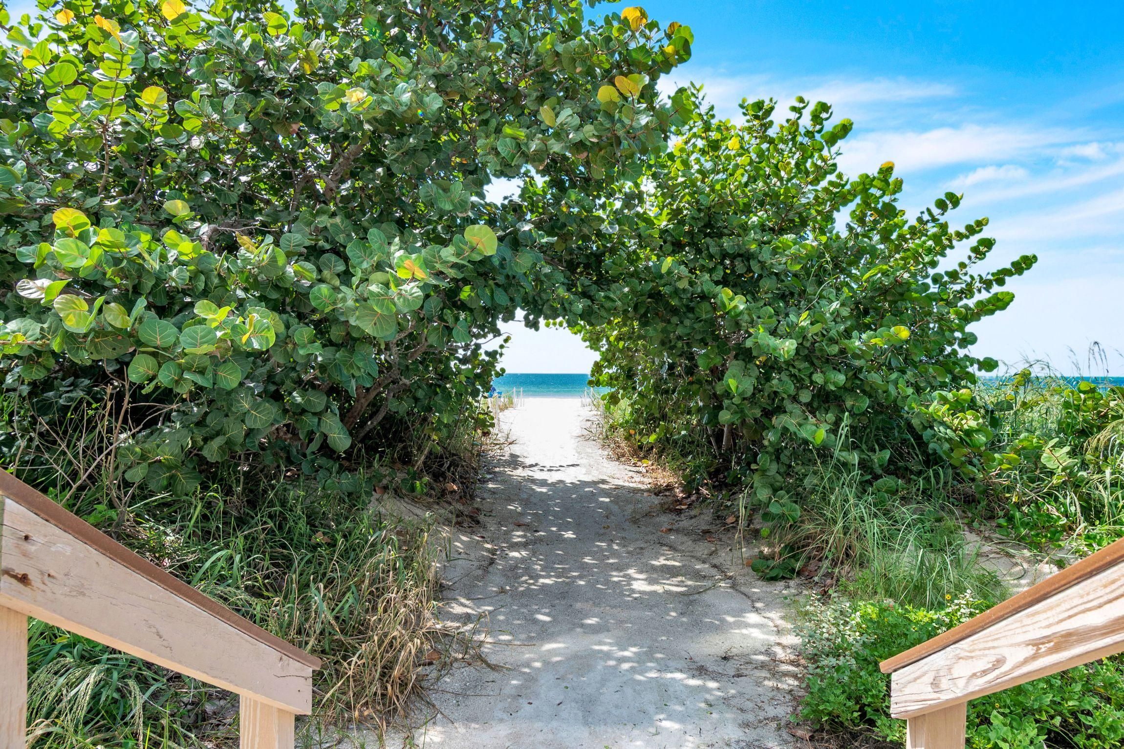 A pathway leading to a beach, surrounded by lush greenery.
