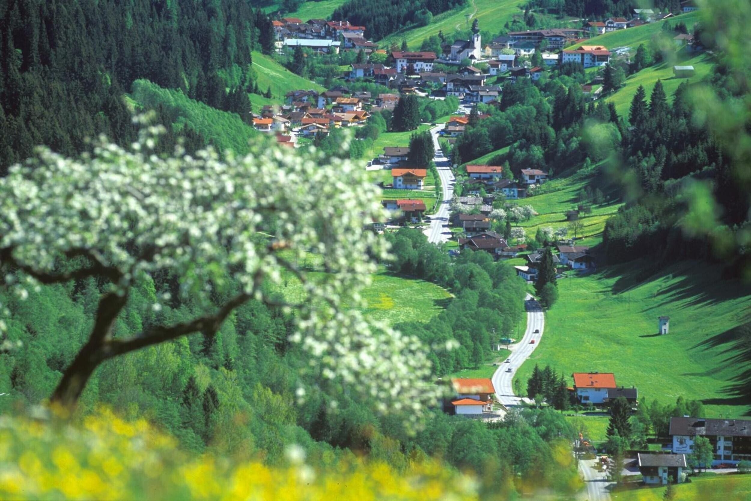 A rural village with houses, a winding road, and a tree with white blossoms.