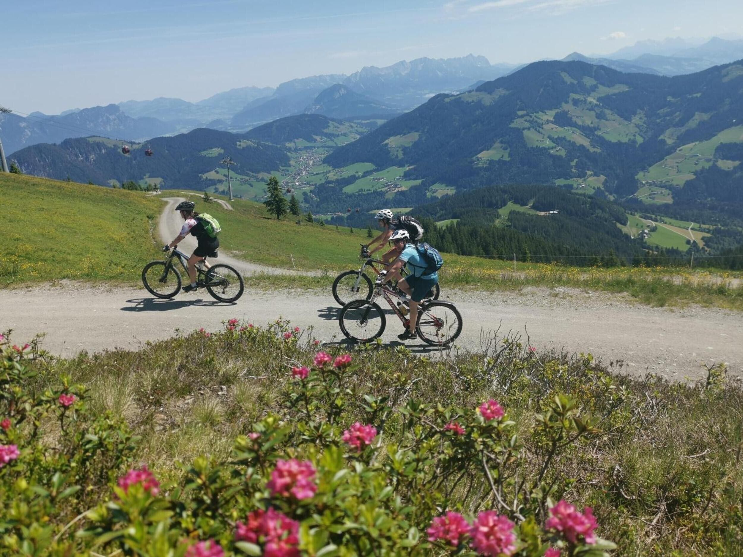 Un sentier de VTT, avec des cyclistes, entouré de collines et de montagnes verdoyantes.