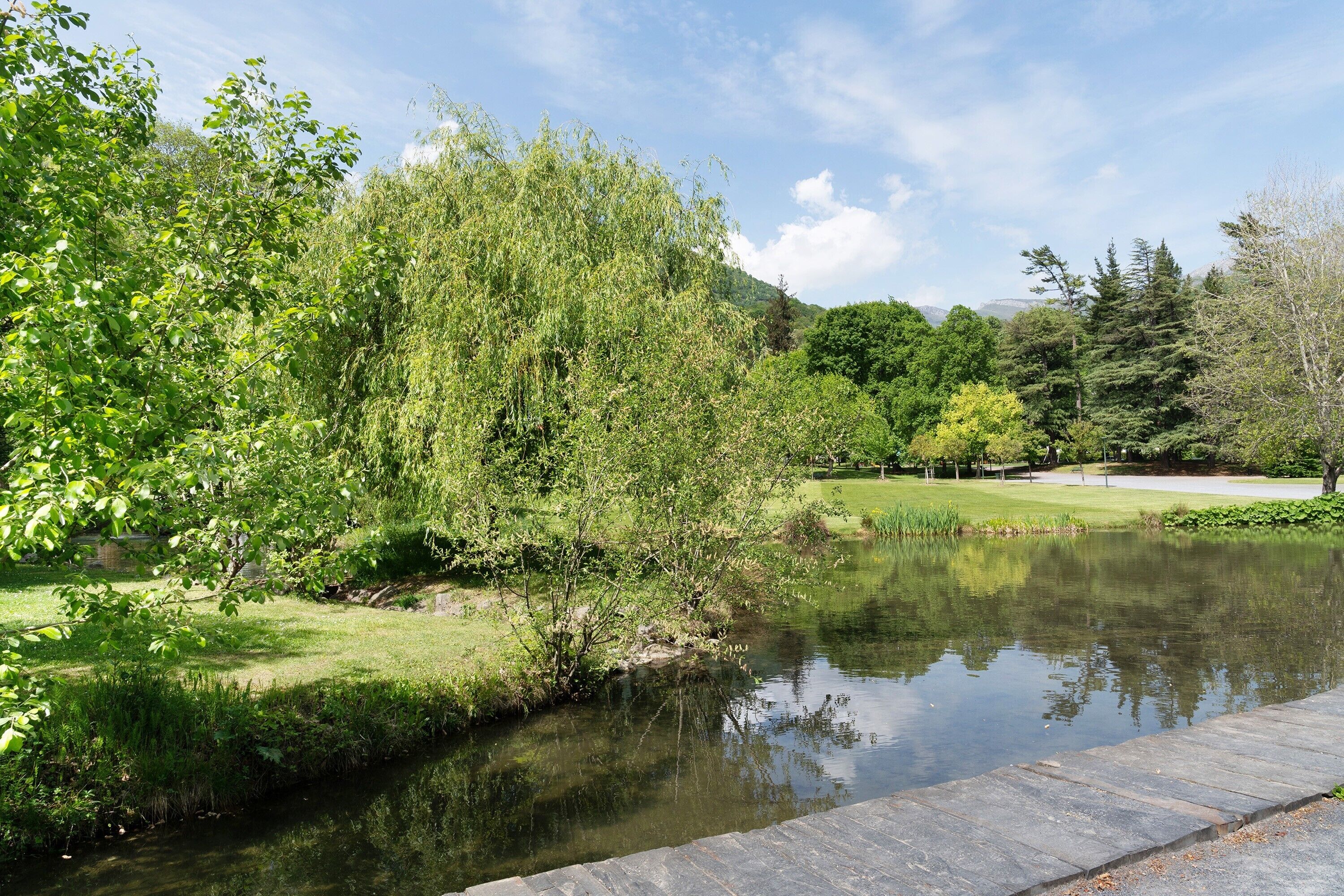 Ein friedlicher Park mit Teich, üppigem Grün und blauem Himmel.