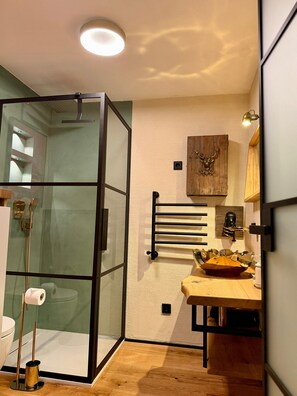 Shower, hair dryer, towels