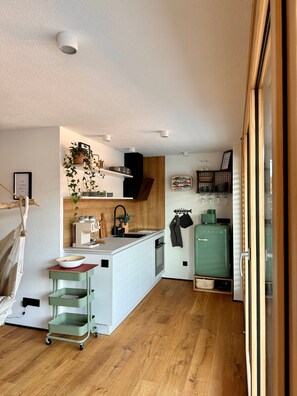 Fridge, oven, stovetop, dishwasher