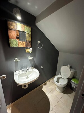 Sèche-cheveux, serviettes fournies, savon, papier toilette