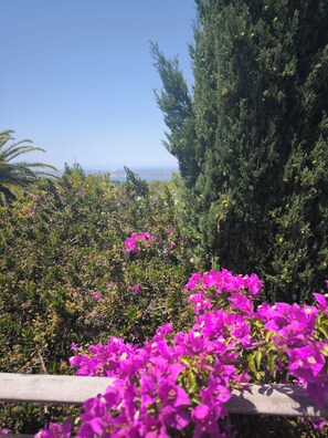 تفاصيل الفندق من الخارج