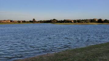 A lake with a grassy shoreline and a concrete path.