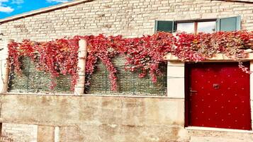 A building with a brick facade, a red door, and a vine-covered wall.
