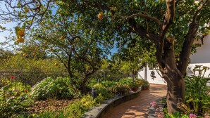A garden with a curved pathway, various plants, and a tree with fruit. - Il giardino dei Gigli, few steps from the sea (Meta)