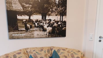 Fernseher, Bücher, Stereoanlage
