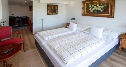 Room-apartman Louis A 102