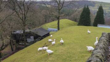 Khuôn viên nơi lưu trú