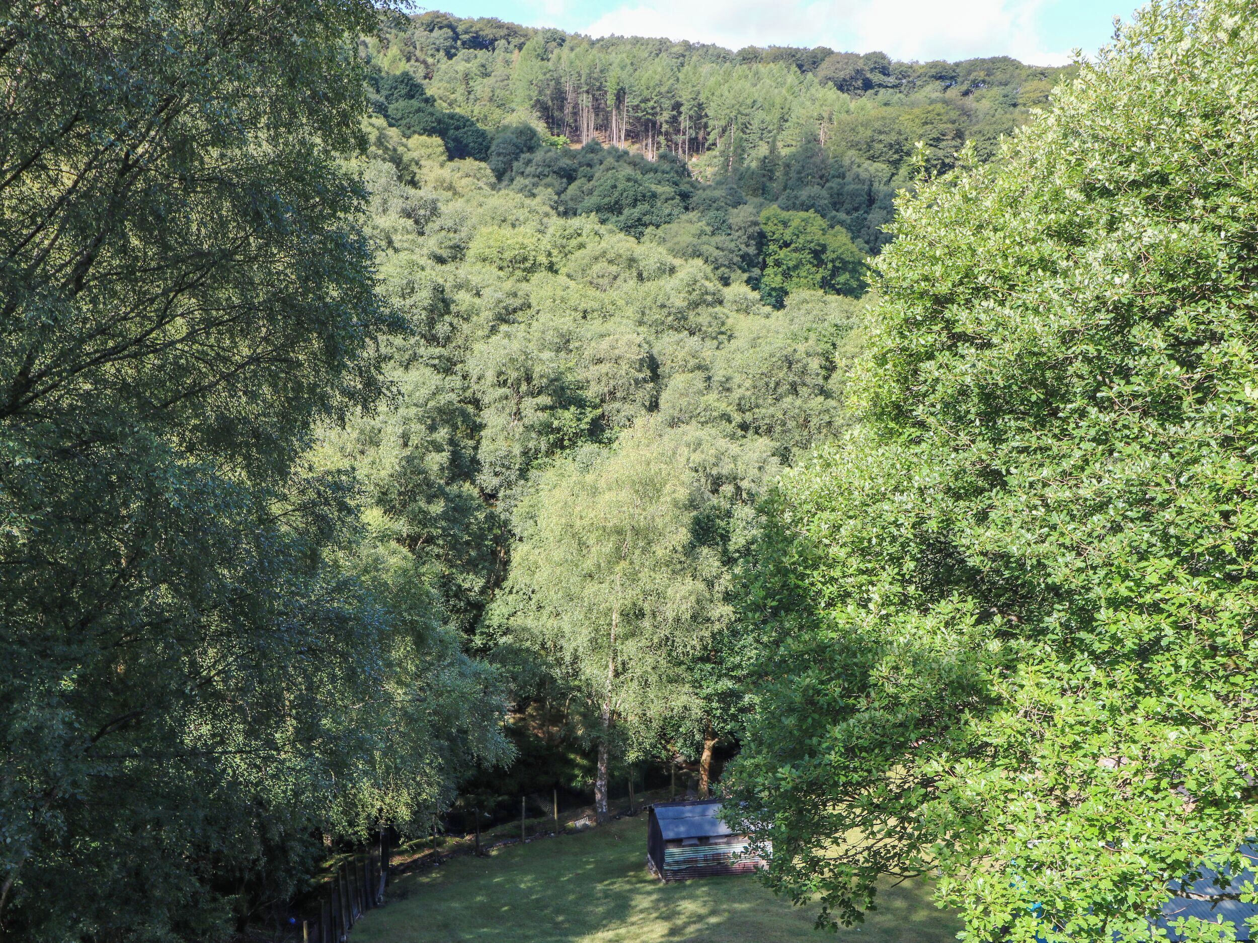 Ein bewaldetes Gebiet mit einem kleinen Gebäude, vermutlich eine Hütte oder ein Jagdhaus, umgeben von dichten Bäumen und einer hügeligen Landschaft.