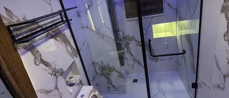 A modern bathroom with a glass-enclosed shower, a toilet, and a sink.