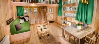 Wooden Lodge Victor de Vos | Slapen in een echte boomhut!