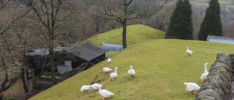 Enceinte de lâhĂ©bergement