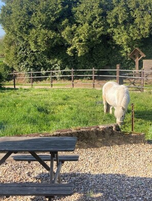 Outdoor dining - Vrbo Property (Haudricourt)