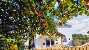 Ein weißes Haus mit Holzpforte und Garten.