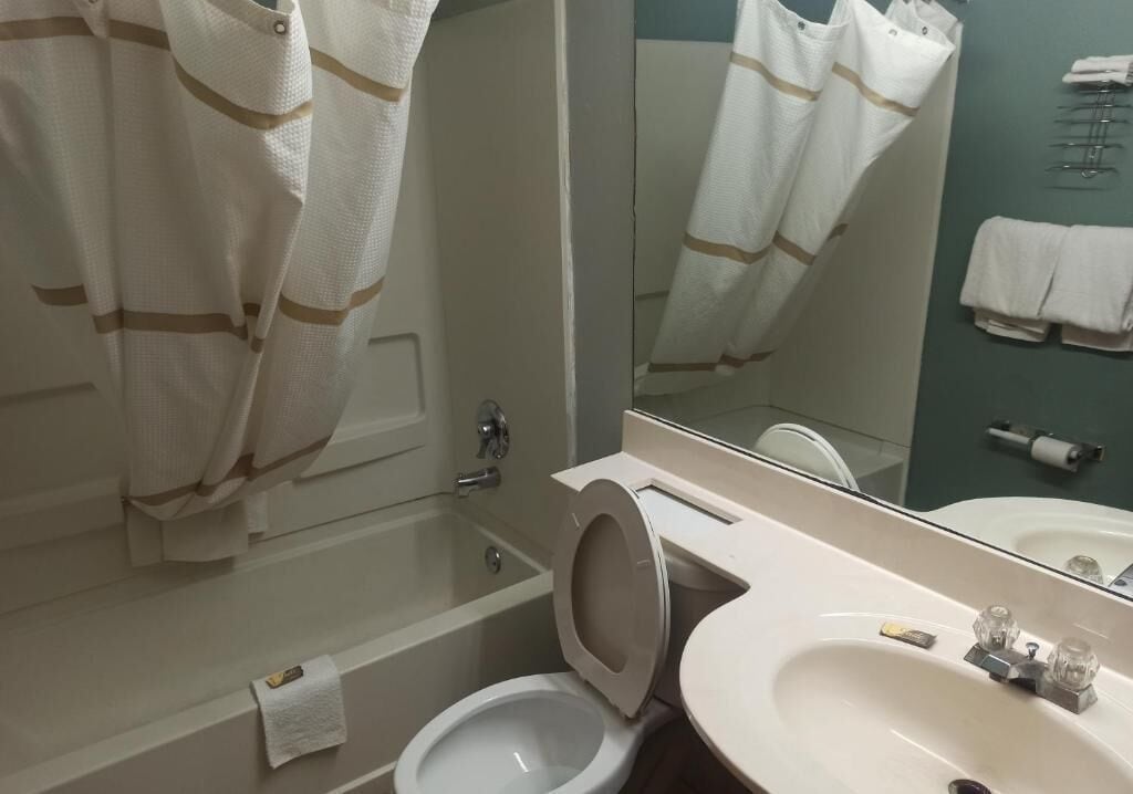 Un baño con inodoro, lavabo y espejo.