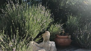 Un jardin agrémenté d’une sculpture en pierre, d’une plante en pot et d’un chemin en béton.