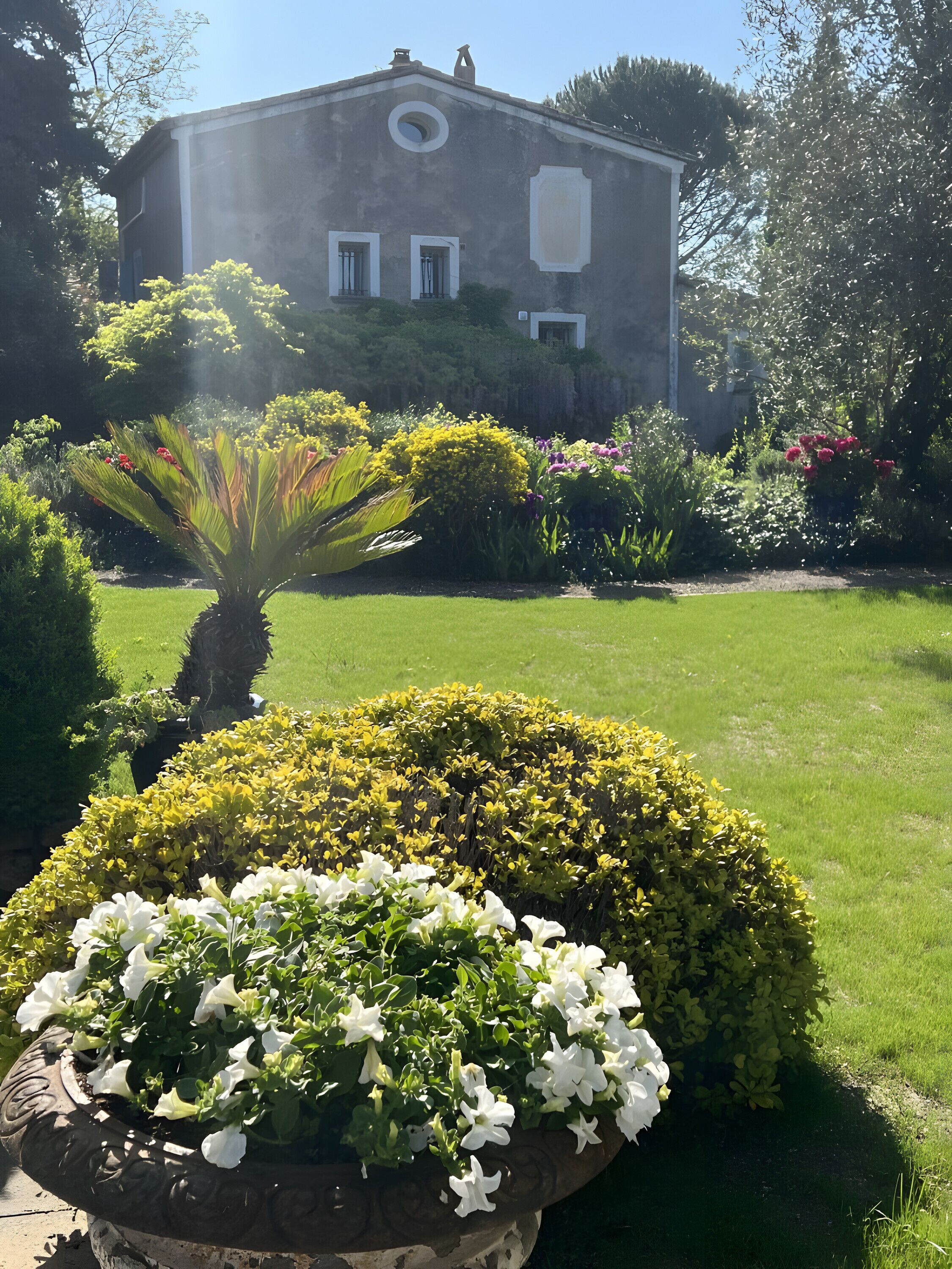 Jardines del alojamiento