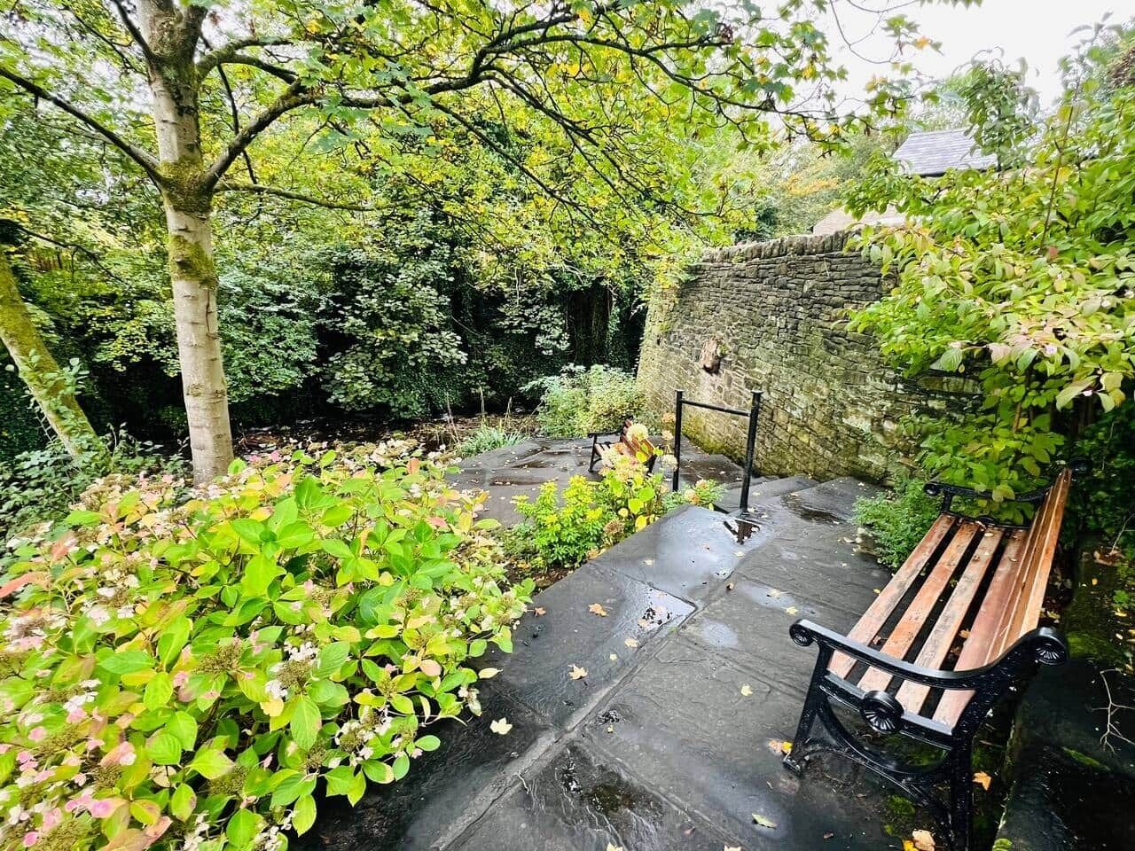 A stone bench in a garden with a stone wall and lush greenery.