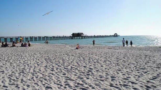 Een strand met een pier die het water in reikt, mensen die over het zand wandelen en zitten, en een meeuw die erboven vliegt.