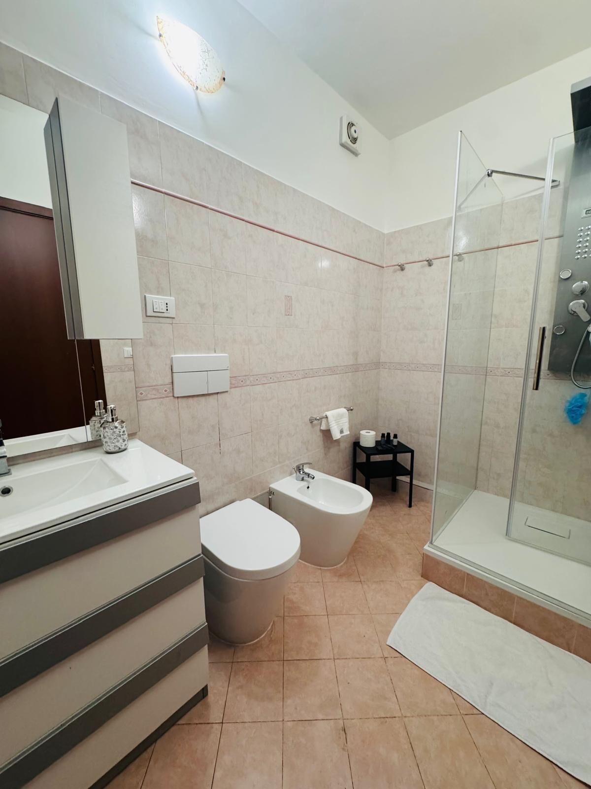 Shower, hair dryer, bidet, towels