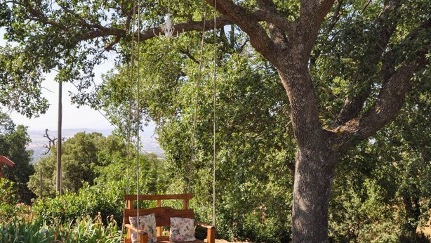 A wooden swing bench with floral cushions under a large tree in a garden setting. - Il Poggetto di Barbara - Casa Bianca (Scansano)