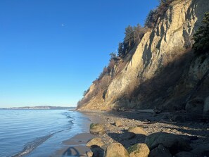 Beach - Maxwelton Beach - 3 bdrm, dog friendly, beachfront - 5 star rental with new mgt! (Clinton)