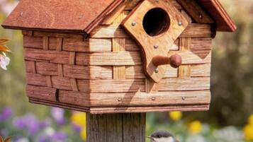 DĂ©tail de lâextĂ©rieur