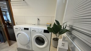 Un espace buanderie comprenant deux machines à laver à chargement frontal, une plante en pot et un meuble de rangement blanc.