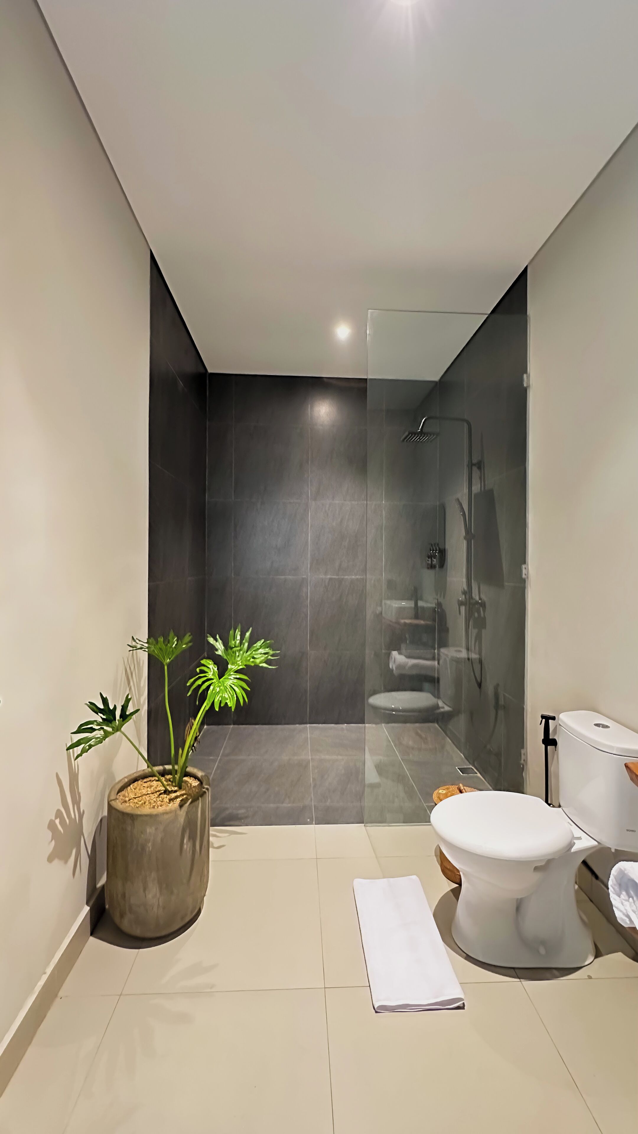 Chuveiro, secador de cabelo, bidê, toalhas de banho