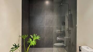 Chuveiro, secador de cabelo, bidê, toalhas de banho