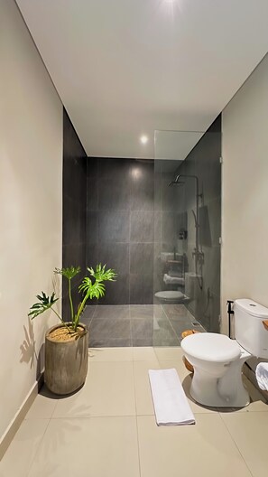 Ducha, secador de pelo, bidé y toallas