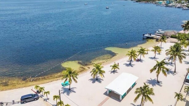 A beach with a white building, palm trees, and boats in the water.