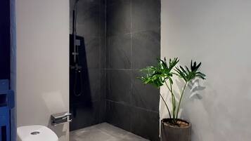 Shower, hair dryer, bidet, towels