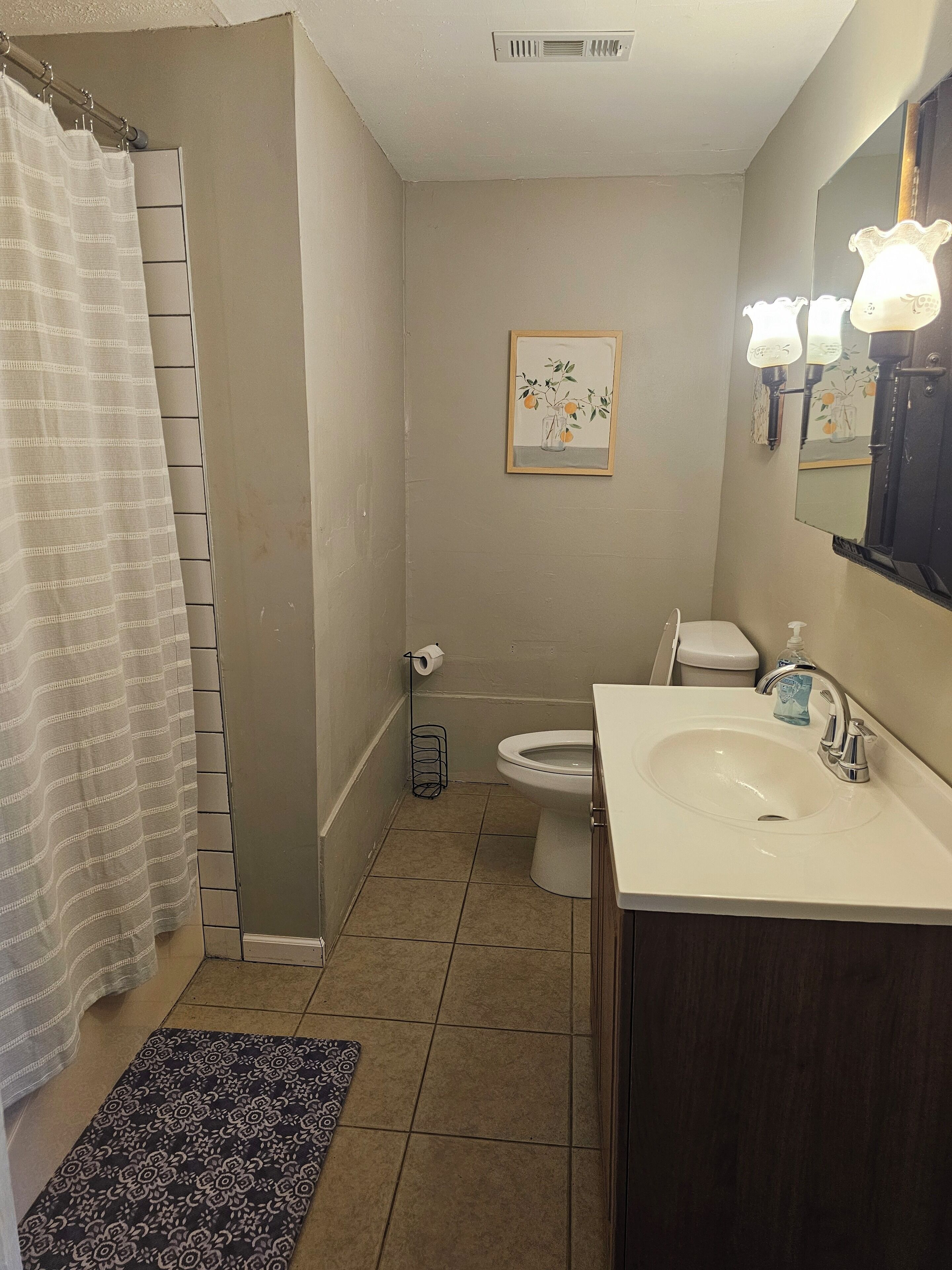 Hair dryer, towels, soap, toilet paper